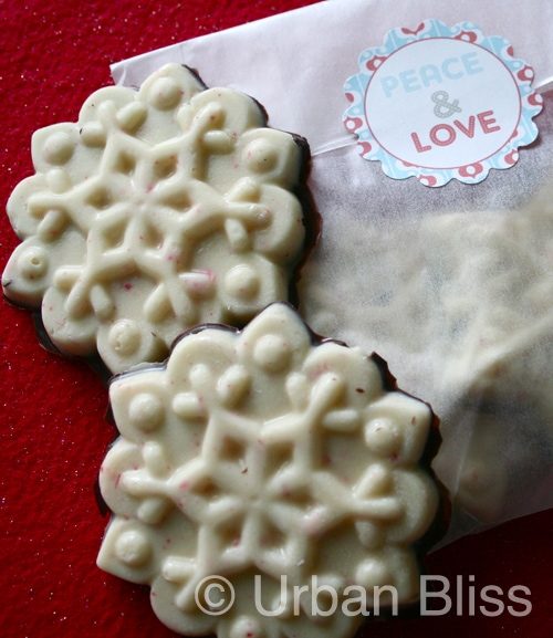 white chocolate peppermint bark and gift bag