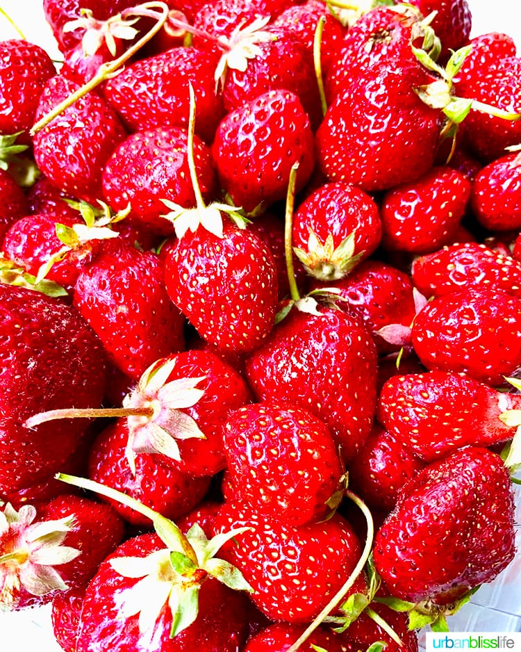 bunch of strawberries