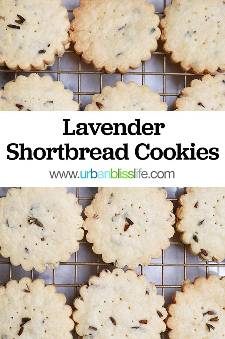 Pinterest graphic for lavender shortbread cookies