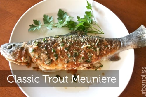 Classic Trout Meuniere by Urban Bliss