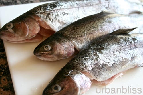 Classic Trout Meuniere by Urban Bliss