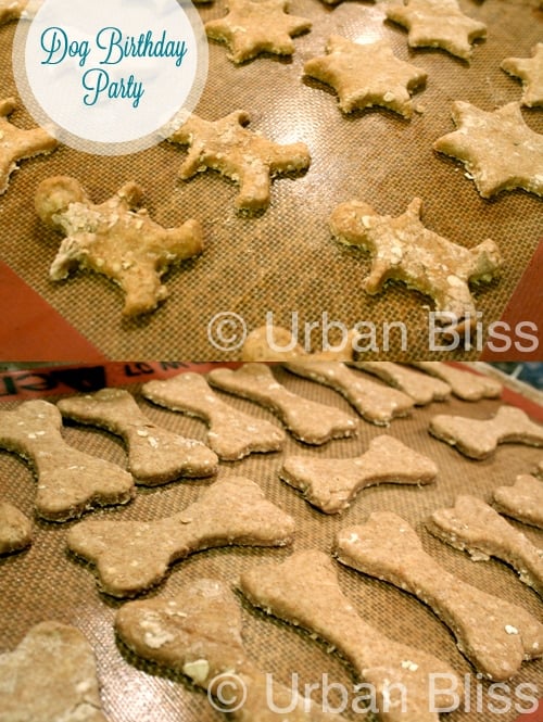 homemade dog treats with rolled oats