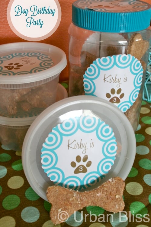 homemade dog treats in containers