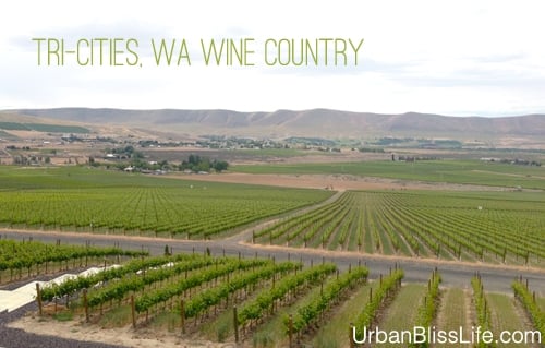 WA Wine Country - Feature Image - 02