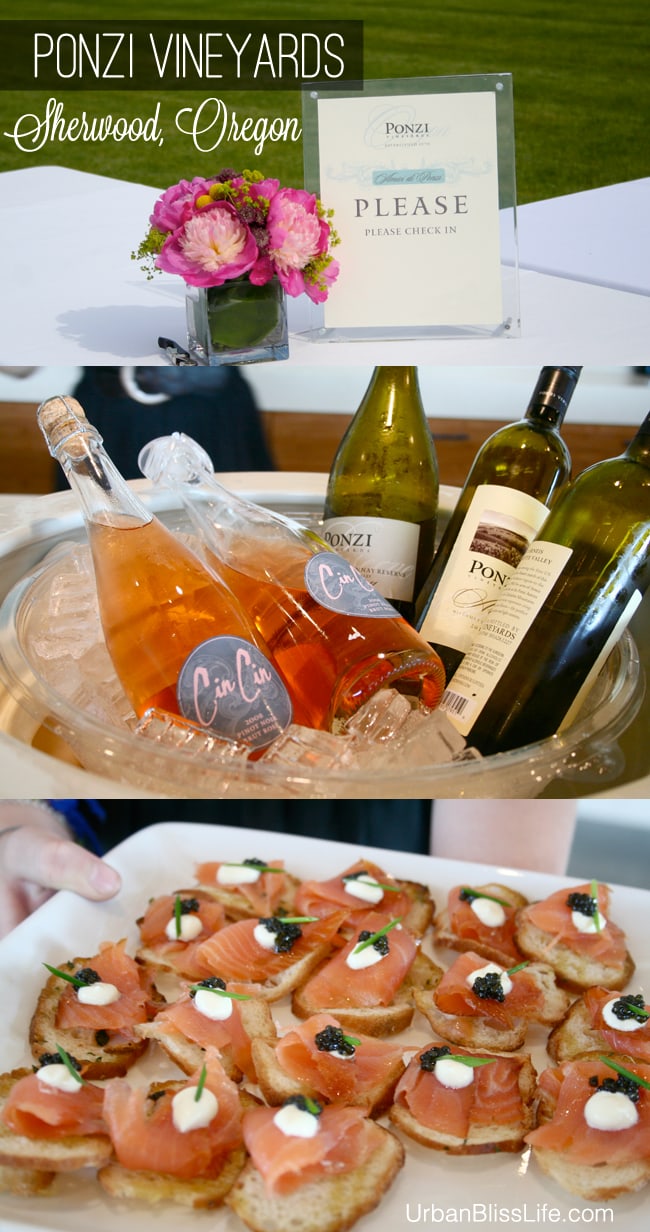 Ponzi wines and seafood appetizers
