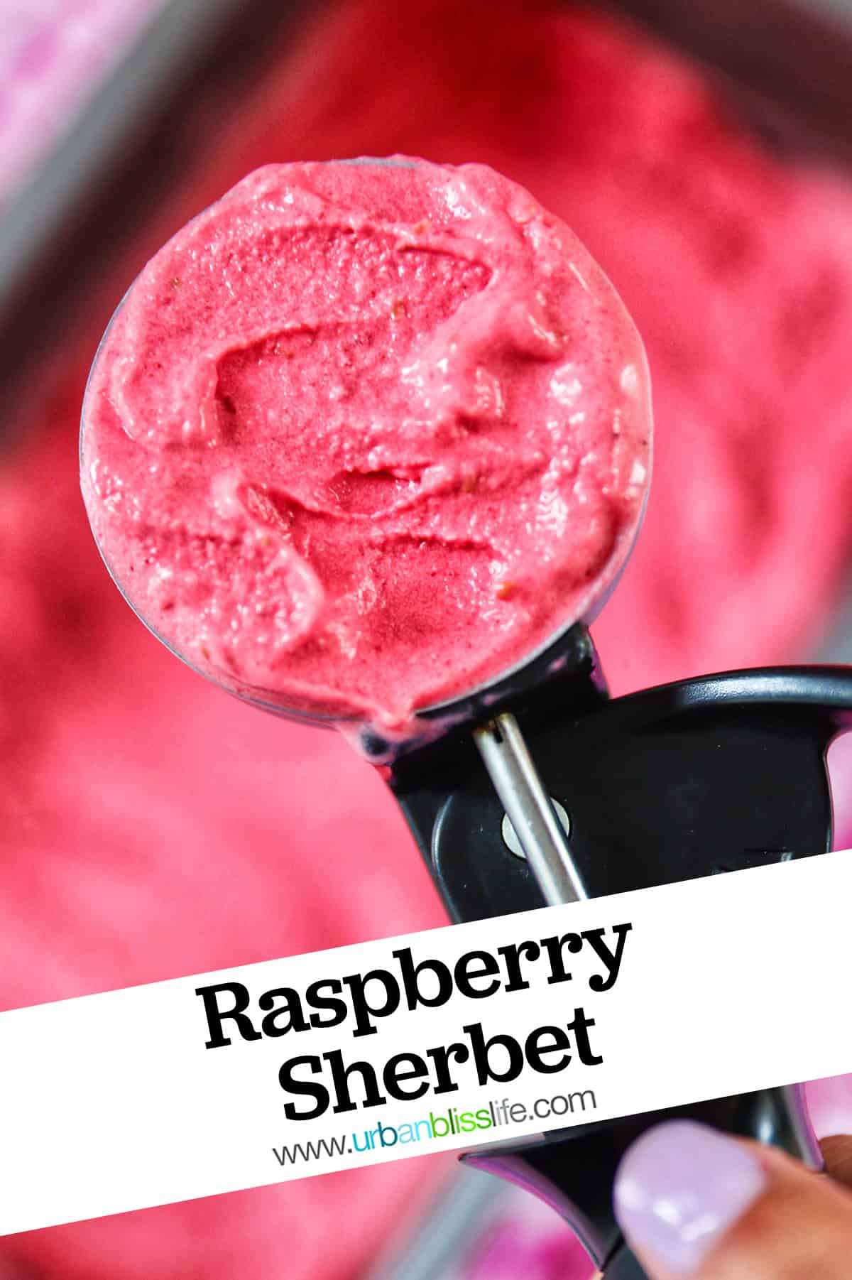 Easy Raspberry Sherbet Urban Bliss Life 0625