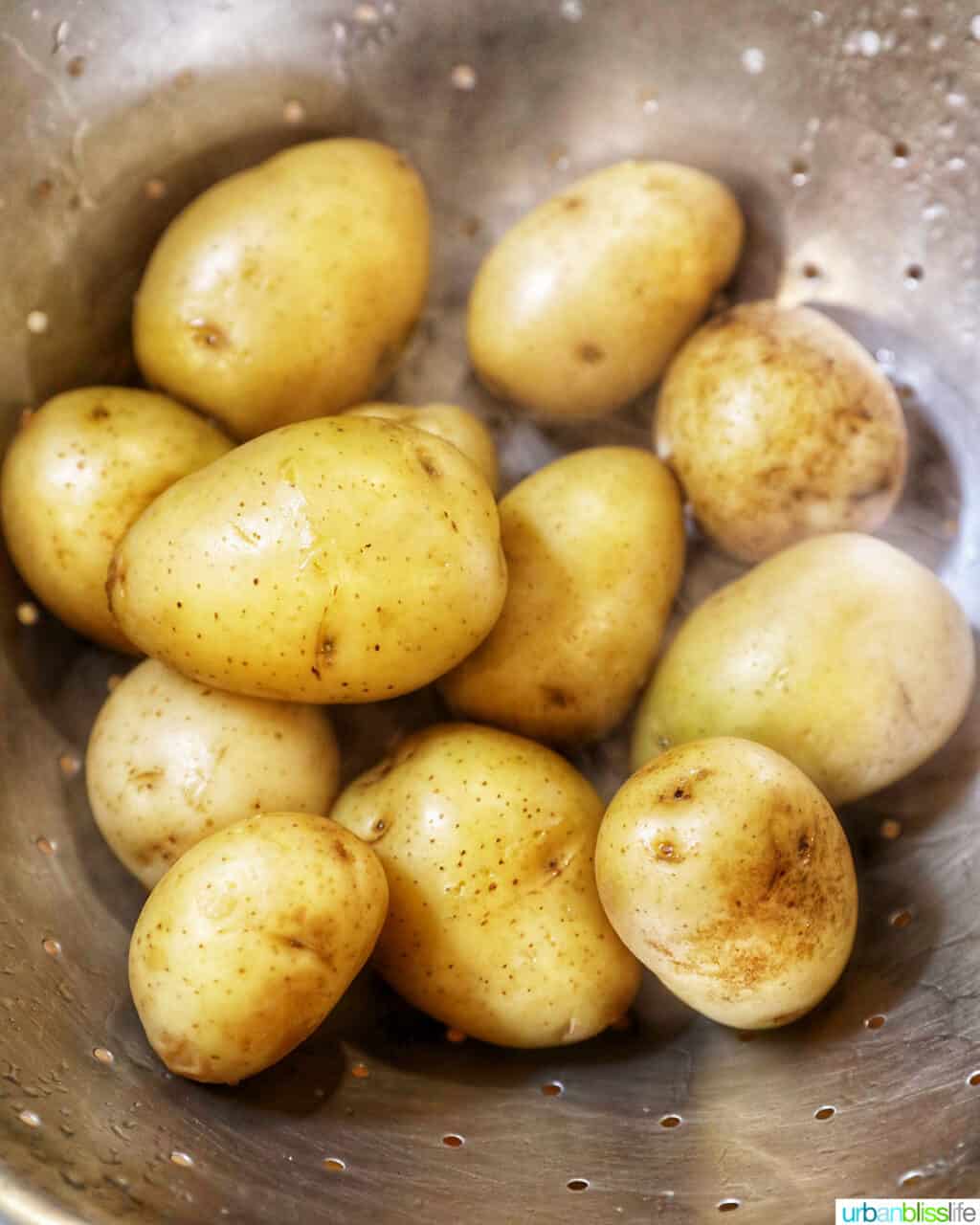 baby potatoes to make a potato salad recipe