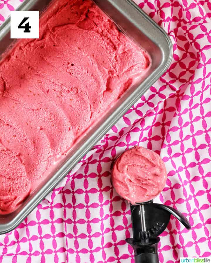 Sherbert Raspberry Pint Easy Raspberry Sherbet - Urban Bliss Life