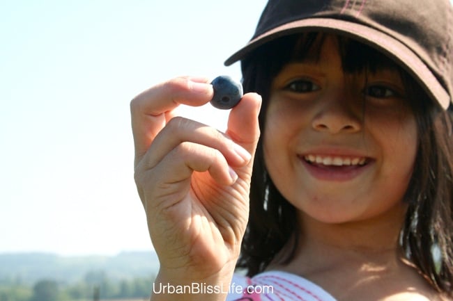 girl holding blueberry