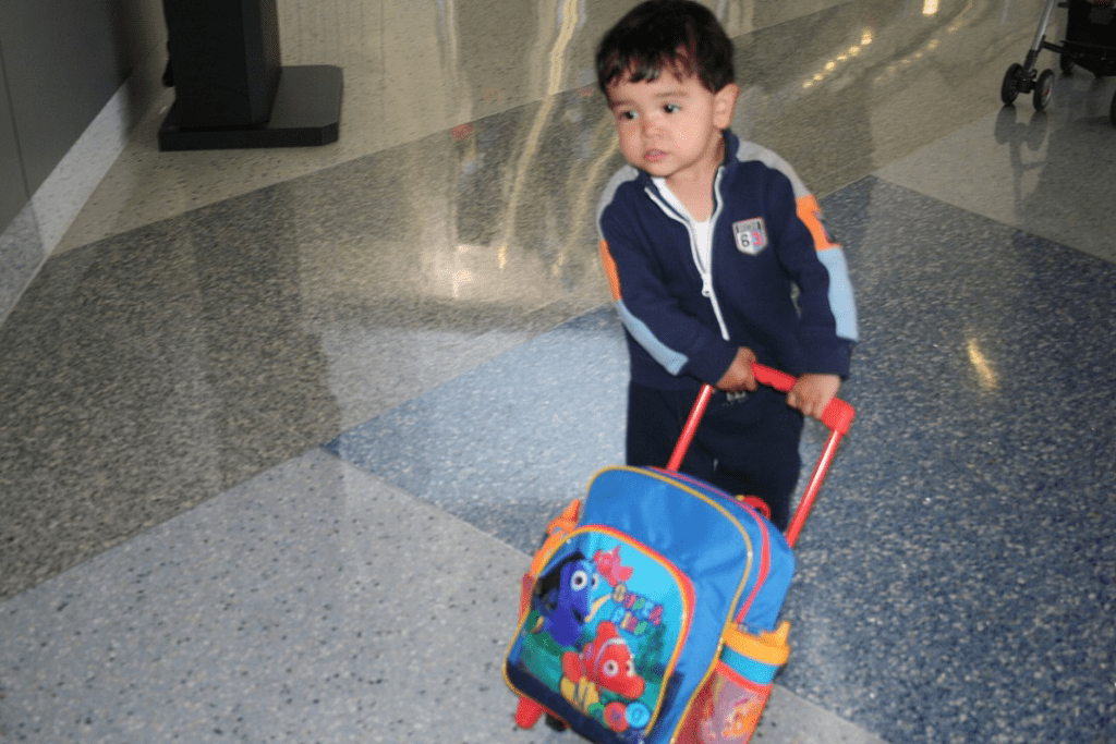 son airport luggage travel