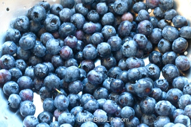 plate of blueberries