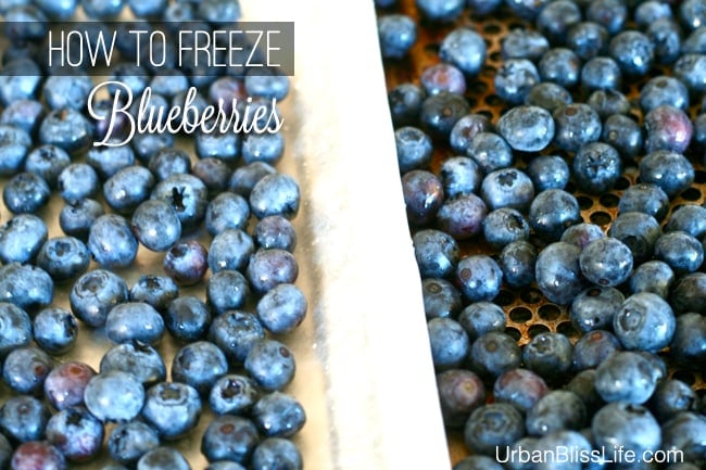 How to Freeze Blueberries