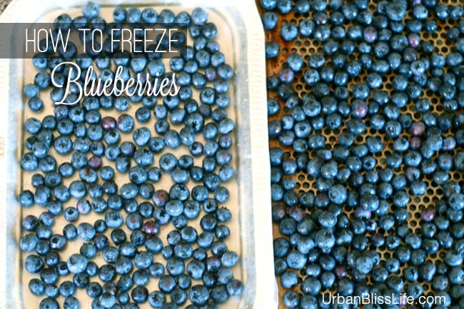 How to Freeze Blueberries 
