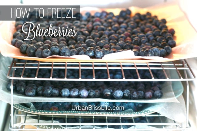 Blueberries in freezer