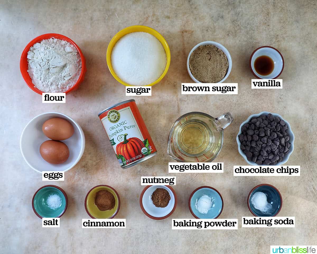 ingredients to make chocolate chip pumpkin bread batter.