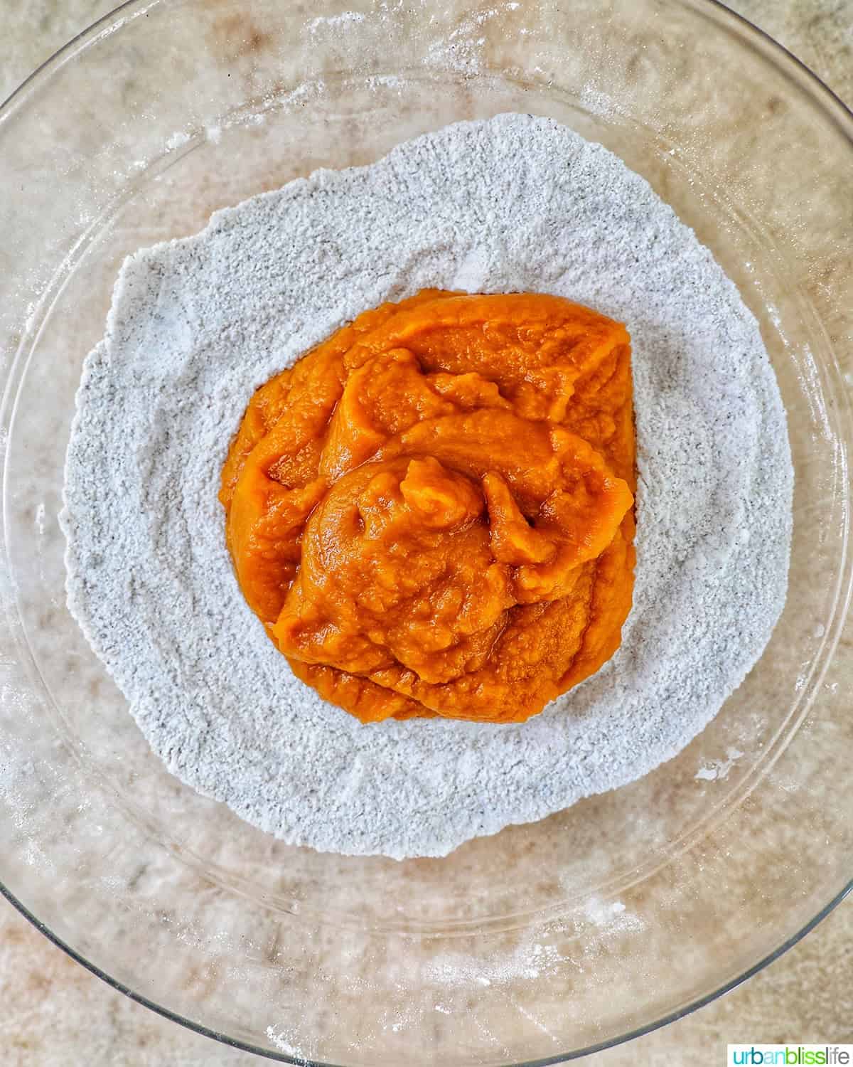 pumpkin puree added to chocolate chip pumpkin bread batter.