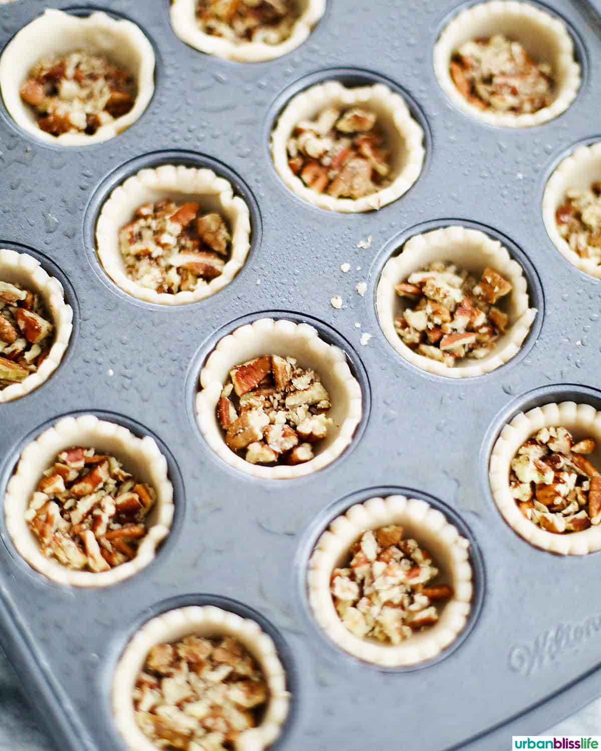 mini pecan pies in a mini muffin tin.