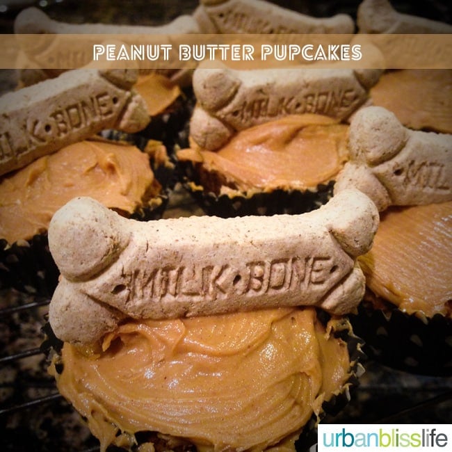 Peanut Butter Pupcakes Recipe Dog Birthday