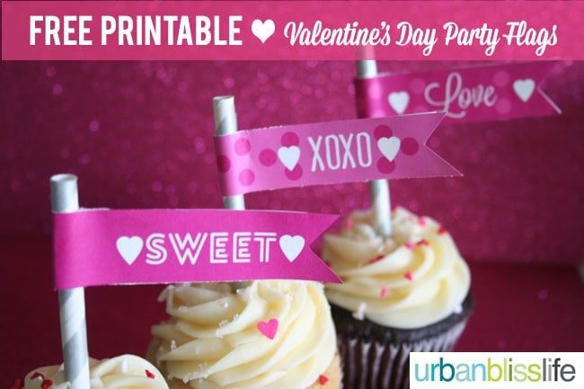 Valentine's Day Printable Party Flags
