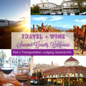 Travel and Wine Bliss: Sonoma County, California