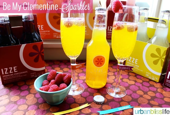 IZZE mixed drink recipe