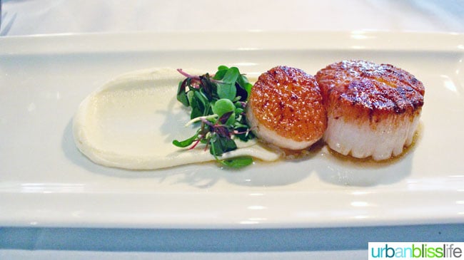 Scallops at Mucca Osteria restaurant in Portland, Oregon