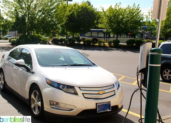 #EVSelfie The Electric Generation Campaign 2014