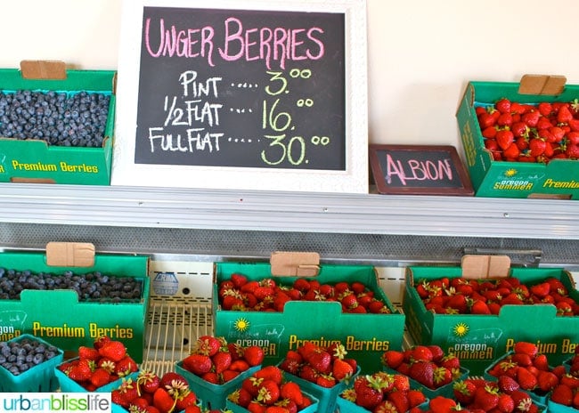 Oregon Berry Fest berries