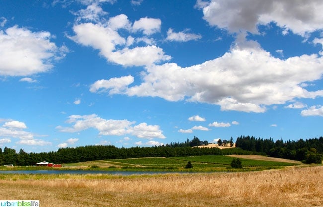 Oregon Berry Fest Unger Farms Scenic