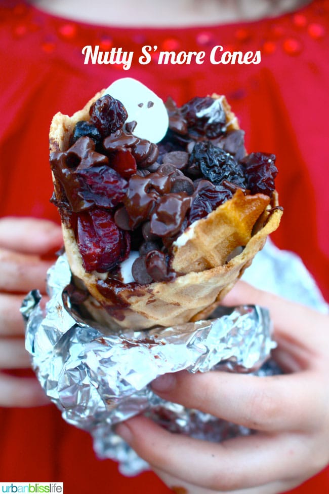 Nutty S'More Cones Sante Nuts