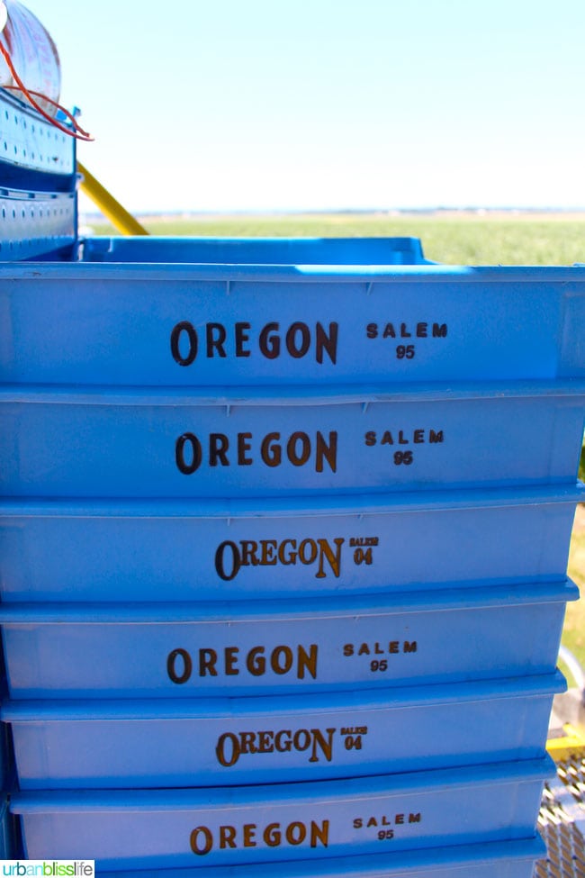 Oregon Fruit Products tour