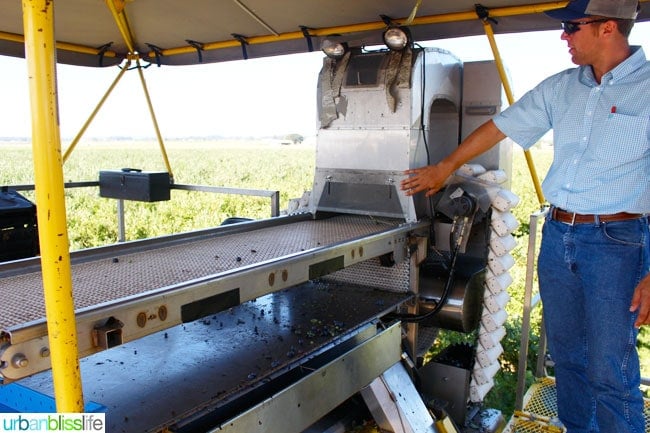 Oregon Fruit Products tour