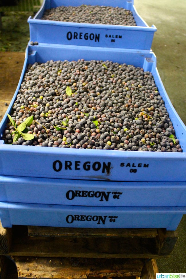 Oregon Fruit Products tour