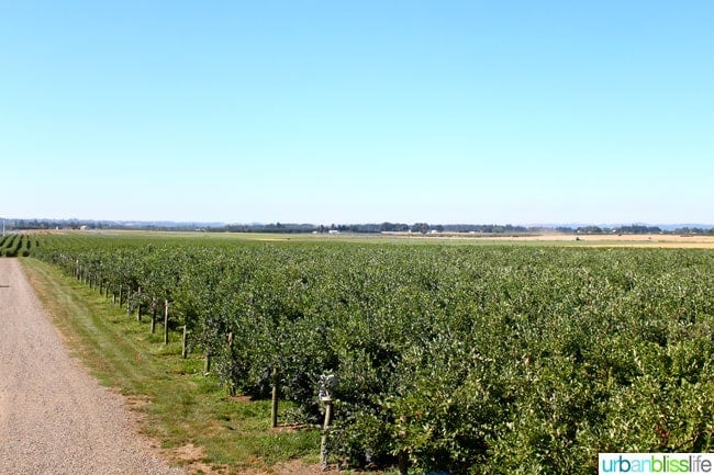 Oregon Fruit Products tour