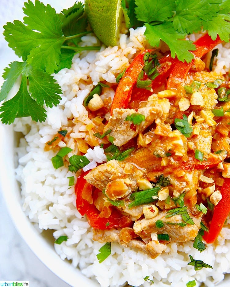 close up of thai peanut curry recipe