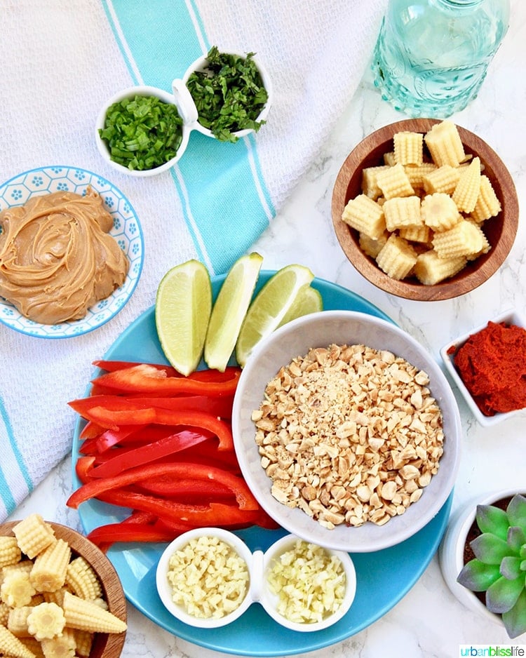 ingredients of thai peanut curry recipe