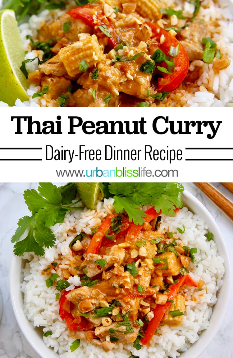 Thai Peanut Curry main image
