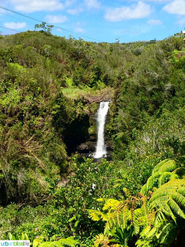 Hawaii Zipline Waterfall