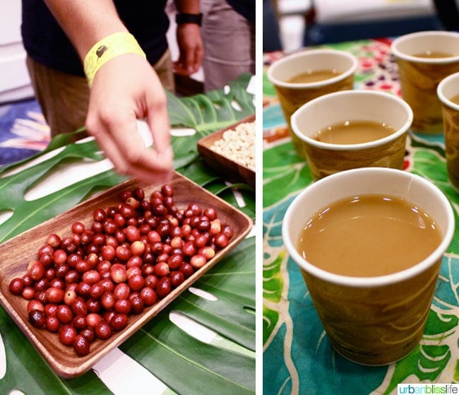 Taste of the Hawaiian Range 2014 | UrbanBlissLife.com