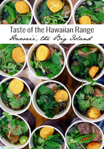 Taste of the Hawaiian Range 2014 | UrbanBlissLife.com