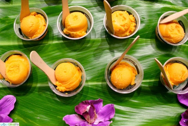 Taste of the Hawaiian Range 2014 | UrbanBlissLife.com