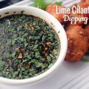 Cilantro Lime Asian Dipping Sauce