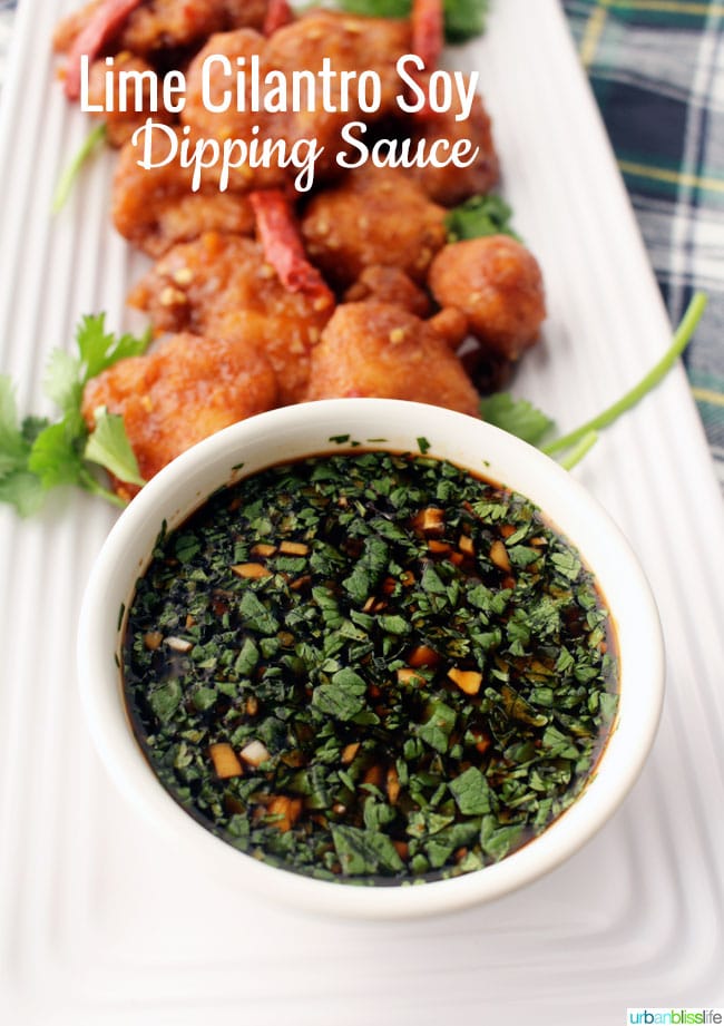 Lime Cilantro Soy Dipping Sauce