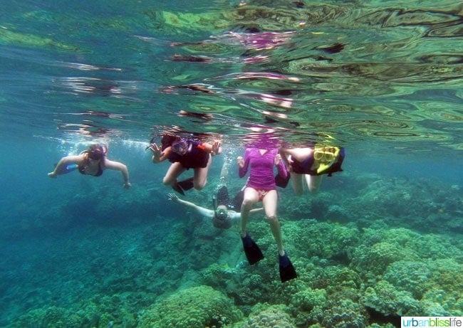 Hawaii Island Snorkeling | UrbanBlissLife.com