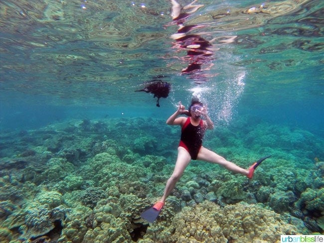 Hawaii Island Snorkeling | UrbanBlissLife.com