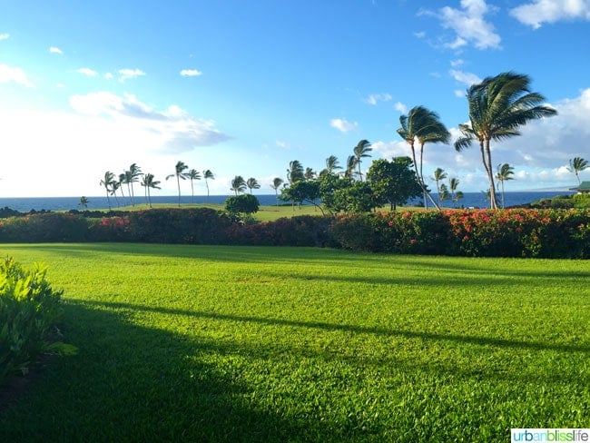 Mauna Lani Beach Hawaii