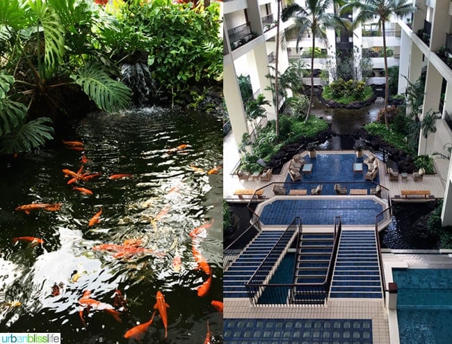 Mauna Lani Resort Pools Hawaii