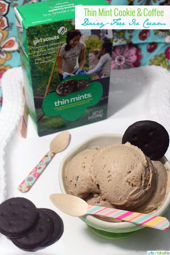 Thin Mint Cookie Coffee Dairy Free Ice Cream ©UrbanBliss
