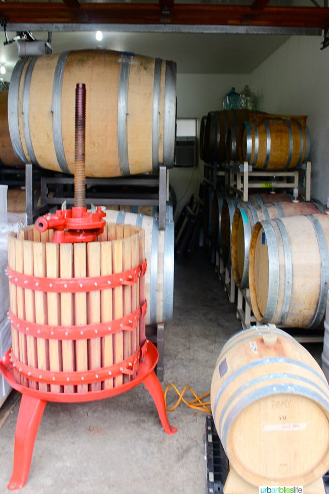 BlizzardWinesBarrels