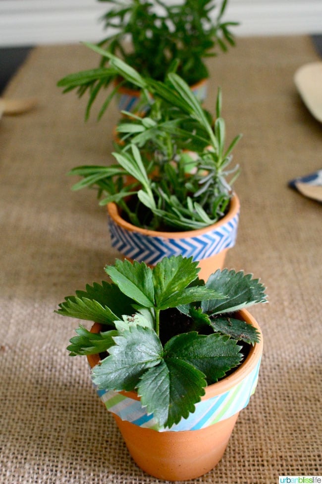 Earth Day Party Centerpiece